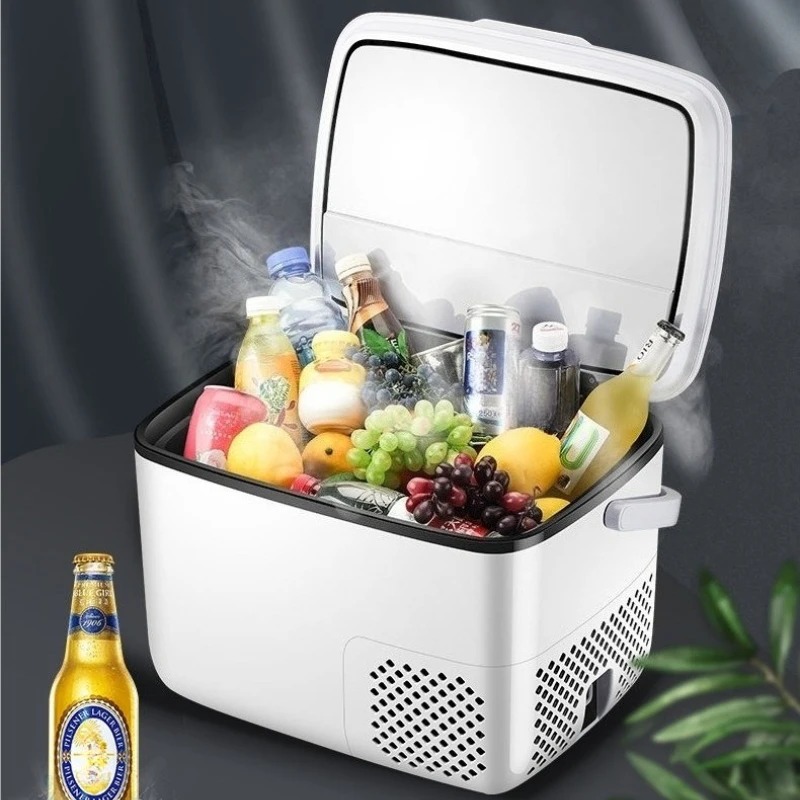 220V /12V /24V Car Refrigerato - Outdoor Furniture Zone recension och pris